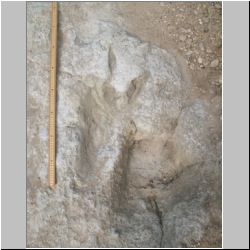 102_6239 (2013-08-08)m.JPG